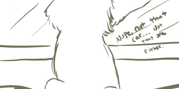 Corgi practice 1