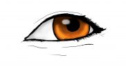 EYE PRACTICE