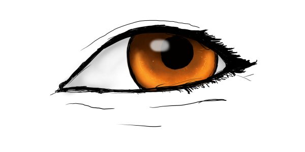 EYE PRACTICE