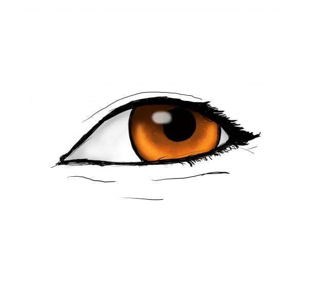 EYE PRACTICE